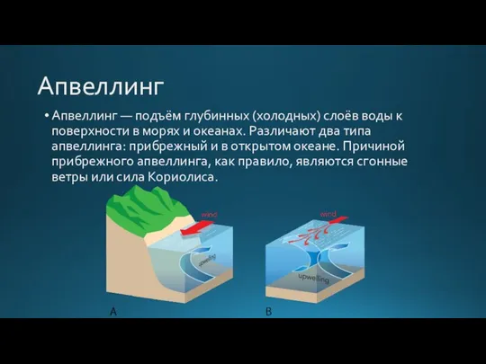 Апвеллинг Апвеллинг — подъём глубинных (холодных) слоёв воды к поверхности в морях