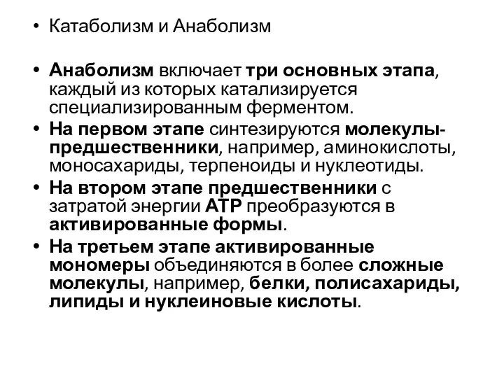 Катаболизм и Анаболизм Анаболизм включает три основных этапа, каждый из которых катализируется