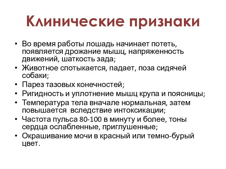 Во время работы лошадь начинает потеть, появляется дрожание мышц, напряженность движений, шаткость