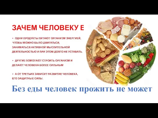 ЗАЧЕМ ЧЕЛОВЕКУ ЕДА? ОДНИ ПРОДУКТЫ ПИТАЮТ ОРГАНИЗМ ЭНЕРГИЕЙ, ЧТОБЫ МОЖНО БЫЛО ДВИГАТЬСЯ,