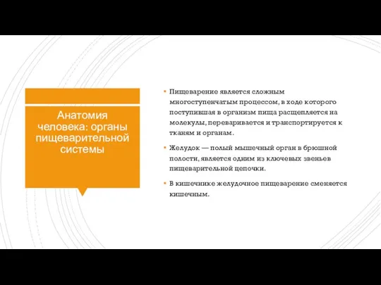 Анатомия человека: органы пищеварительной системы Пищеварение является сложным многоступенчатым процессом, в ходе