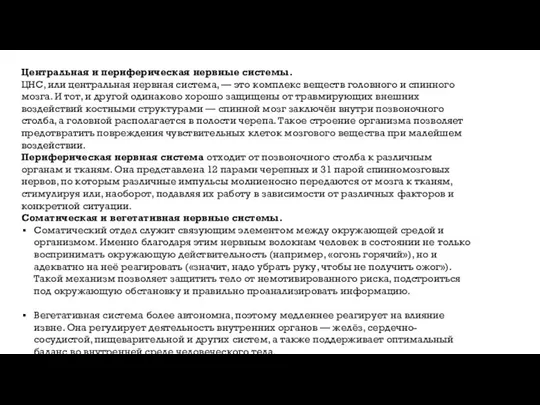 Центральная и периферическая нервные системы. ЦНС, или центральная нервная система, — это