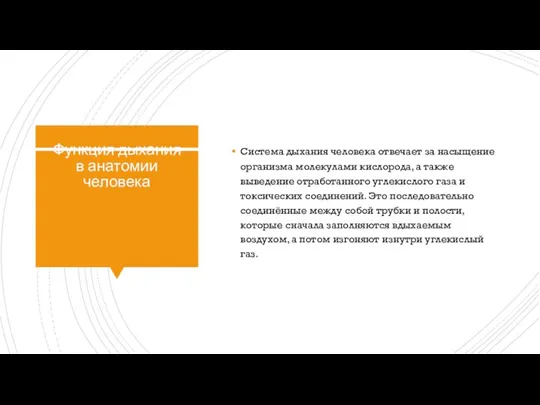 Функция дыхания в анатомии человека Система дыхания человека отвечает за насыщение организма