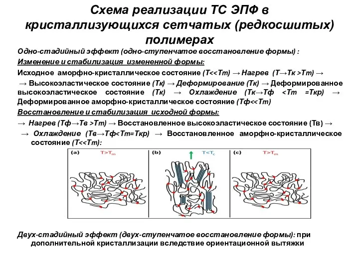 Схема реализации ТС ЭПФ в кристаллизующихся сетчатых (редкосшитых) полимерах Одно-стадийный эффект (одно-ступенчатое