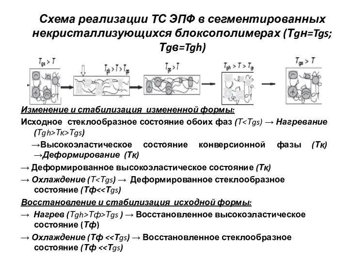 Схема реализации ТС ЭПФ в сегментированных некристаллизующихся блоксополимерах (Тgн=Tgs; Тgв=Tgh) Изменение и