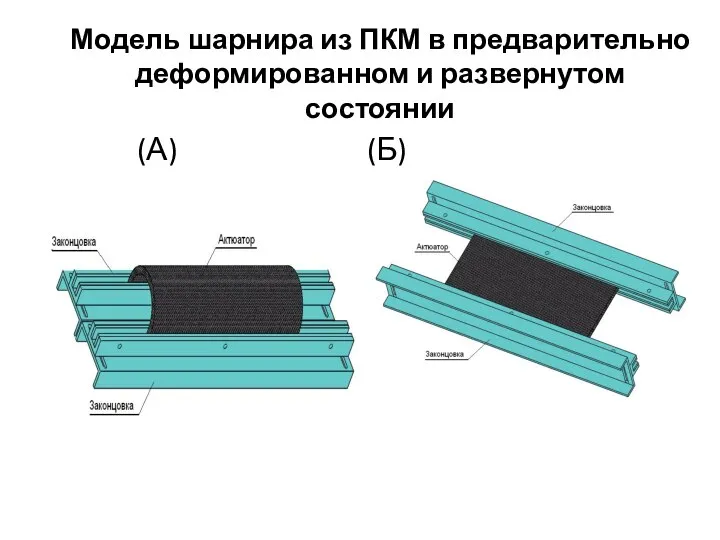 Модель шарнира из ПКМ в предварительно деформированном и развернутом состоянии (А) (Б)