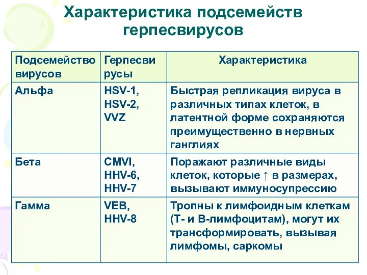 Характеристика подсемейств герпесвирусов