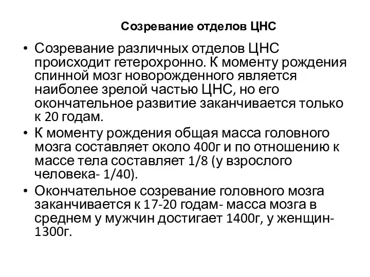 Созревание отделов ЦНС Созревание различных отделов ЦНС происходит гетерохронно. К моменту рождения