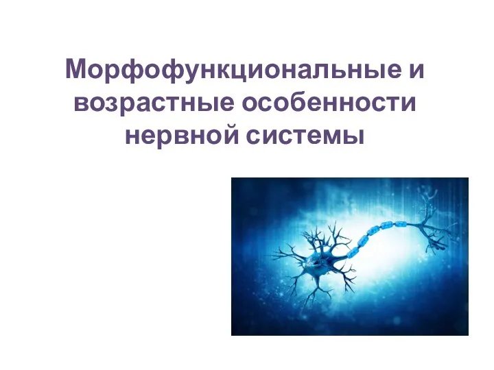 Морфофункциональные и возрастные особенности нервной системы