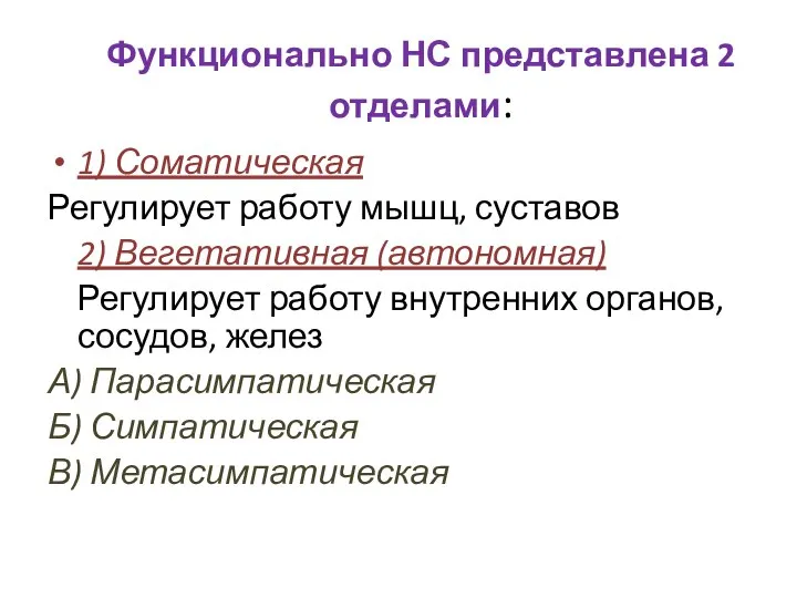 Функционально НС представлена 2 отделами: 1) Соматическая Регулирует работу мышц, суставов 2)