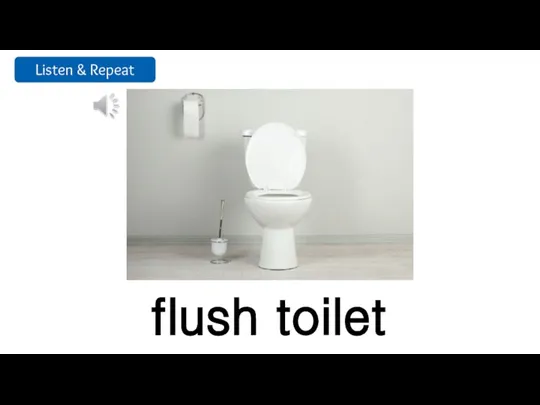 flush toilet