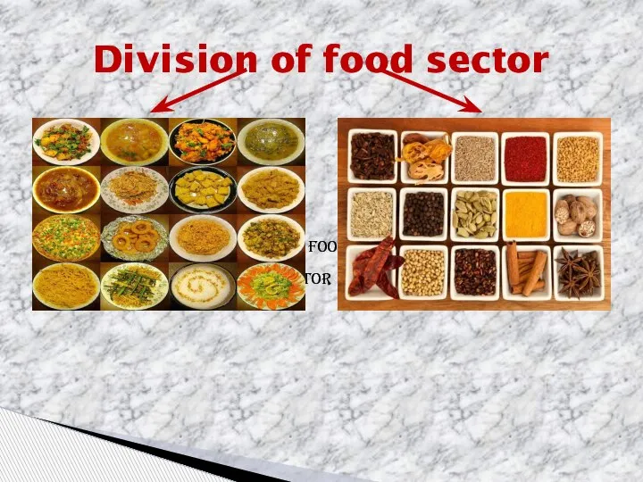 Different foods of states Spice sector Division of food sector