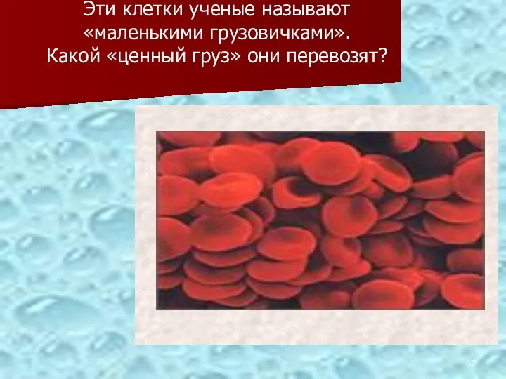 Эти клетки ученые называют «маленькими грузовичками». Какой «ценный груз» они перевозят?