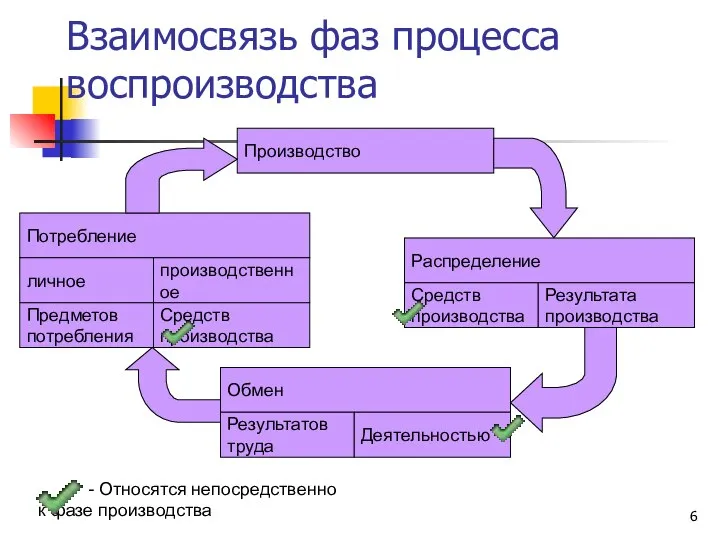 Взаимосвязь фаз процесса воспроизводства