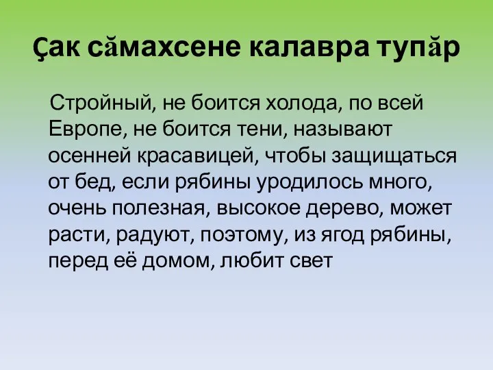 Çак сăмахсене калавра тупăр Стройный, не боится холода, по всей Европе, не