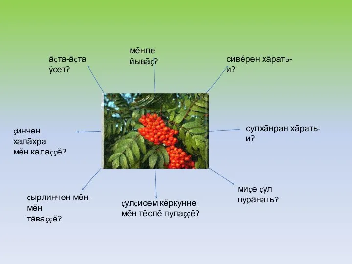 мĕнле йывāç? āçта-āçта ÿсет? сивĕрен хāрать-и? сулхāнран хāрать-и? миçе çул пурāнать? çулçисем