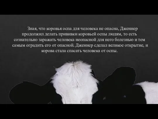 Зная, что коровья оспа для человека не опасна, Дженнер продолжил делать прививки