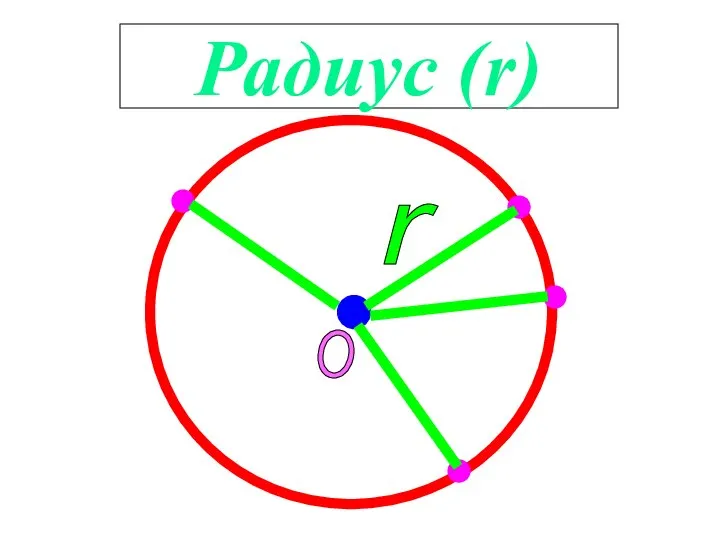 Радиус (r) r О