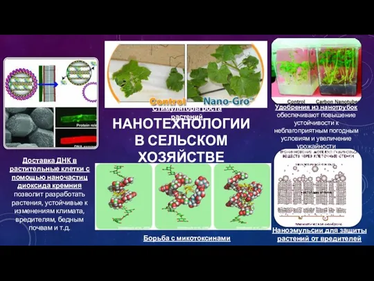 НАНОТЕХНОЛОГИИ В СЕЛЬСКОМ ХОЗЯЙСТВЕ Удобрения из нанотрубок обеспечивают повышение устойчивости к неблагоприятным