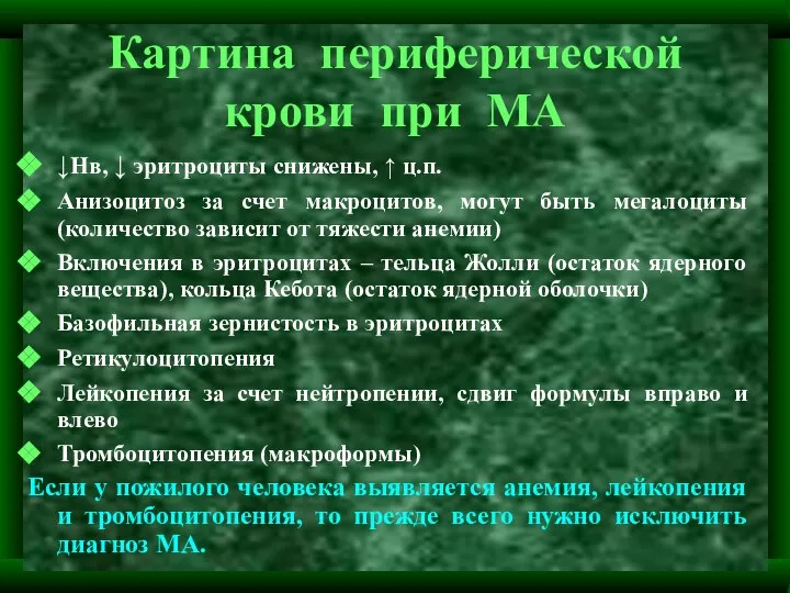 Картина периферической крови при МА ↓Нв, ↓ эритроциты снижены, ↑ ц.п. Анизоцитоз