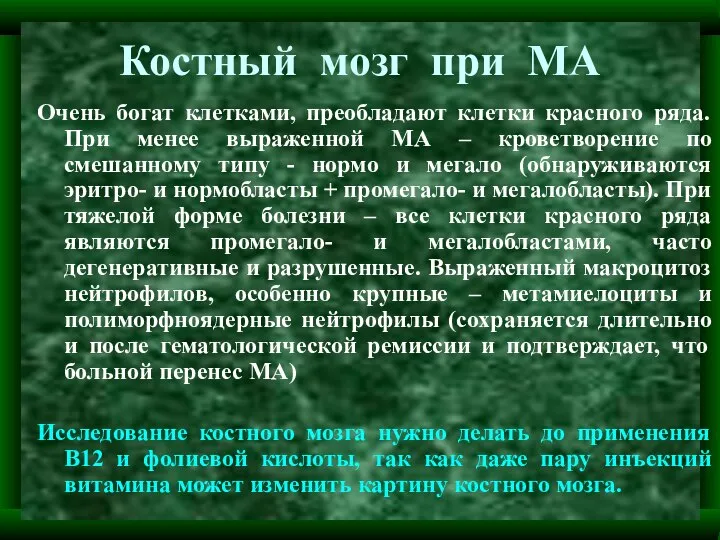 Костный мозг при МА Очень богат клетками, преобладают клетки красного ряда. При