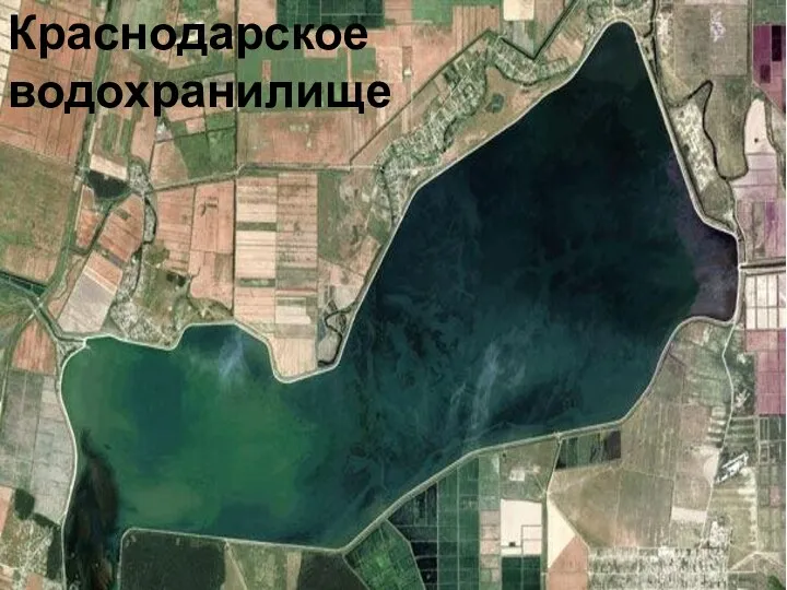 Краснодарское водохранилище