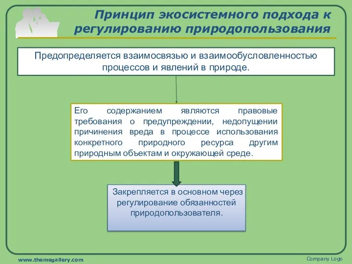 Принцип экосистемного подхода к регулированию природопользования Предопределяется взаимосвязью и взаимообусловленностью процессов и