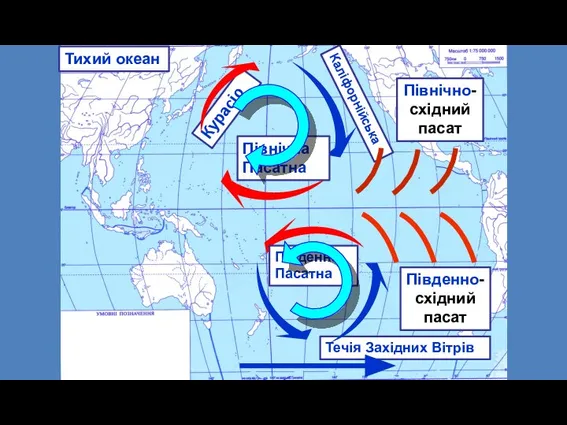 Курасіо Течія Західних Вітрів Північна Пасатна Південна Пасатна Тихий океан Каліфорнійська Північно-східний пасат Південно-східний пасат