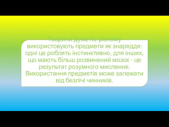 Тварини дуже по-різному використовують предмети як знаряддя: одні це роблять інстинктивно, для