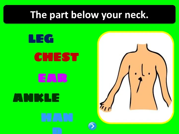 LEG CHEST ANKLE EAR HAND The part below your neck.