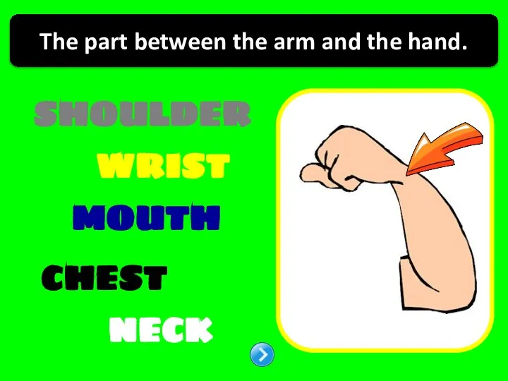 SHOULDER WRIST CHEST MOUTH NECK The part between the arm and the hand.