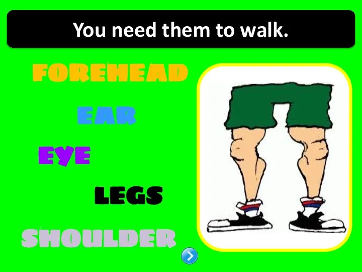 FOREHEAD EAR LEGS EYE SHOULDER You need them to walk.
