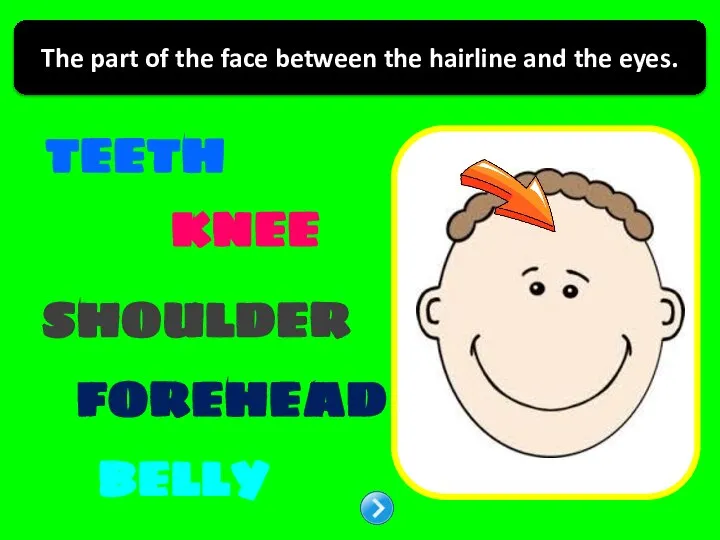 TEETH KNEE BELLY SHOULDER The part of the face between the hairline and the eyes. FOREHEAD