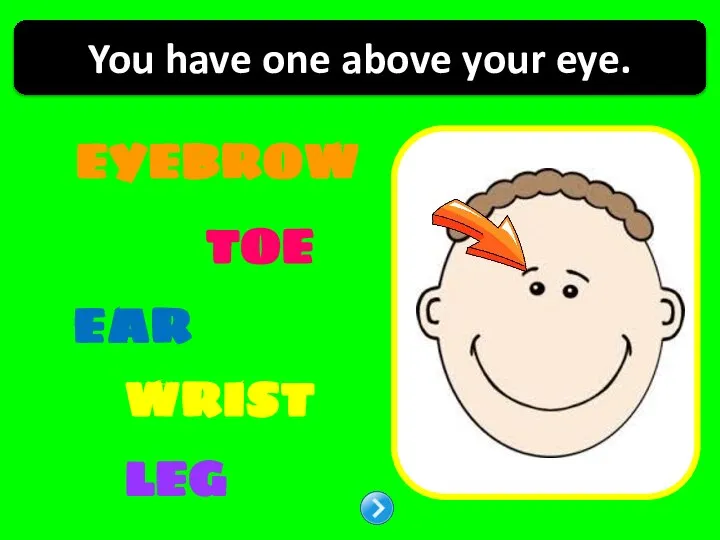 TOE WRIST EAR LEG You have one above your eye. EYEBROW