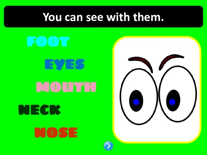 FOOT EYES NECK MOUTH NOSE You can see with them.