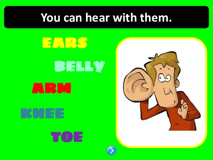 EARS BELLY KNEE ARM TOE You can hear with them.