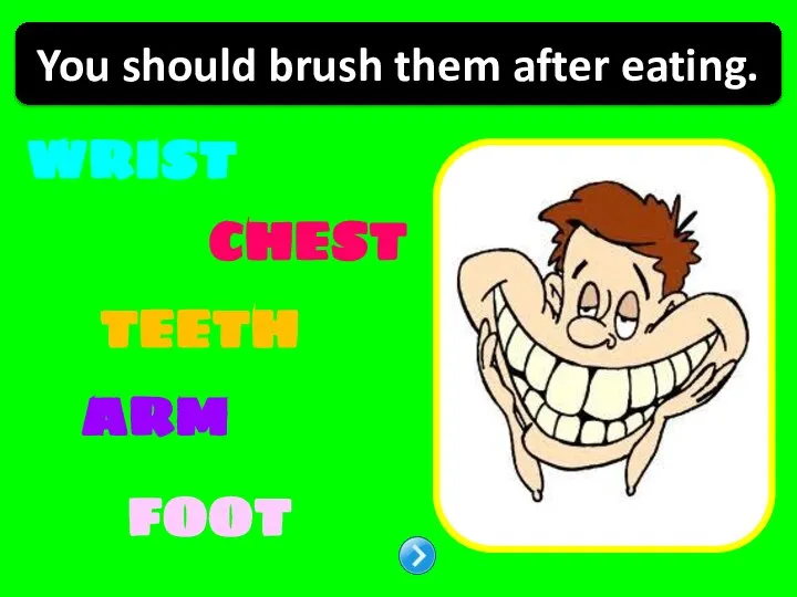 WRIST CHEST ARM TEETH FOOT You should brush them after eating.