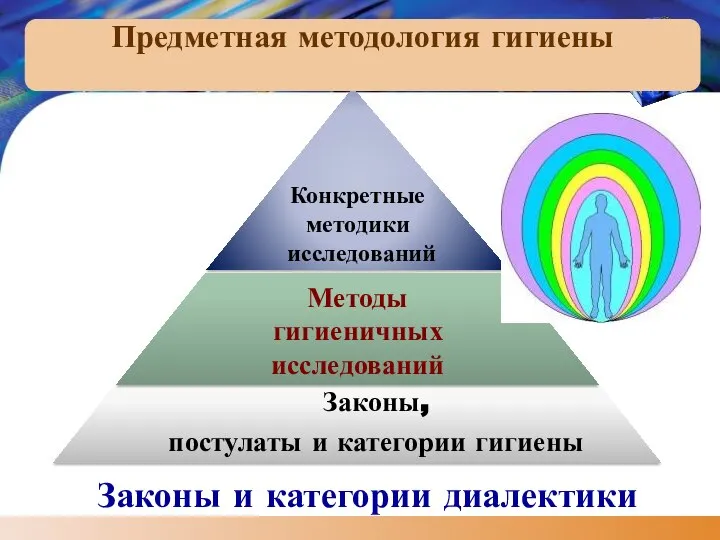 Предметная методология гигиены Законы и категории диалектики Законы, постулаты и категории гигиены