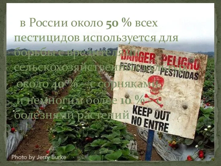 в России около 50 % всех пестицидов используется для борьбы с вредителями