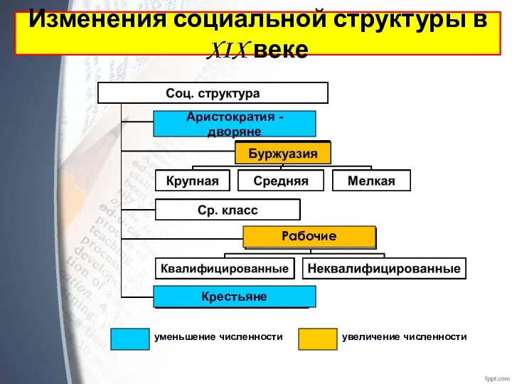 Рабочие Аристократия - дворяне Крестьяне уменьшение численности увеличение численности Изменения социальной структуры в XIX веке