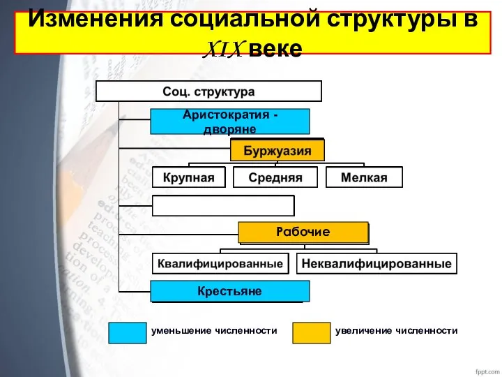 Рабочие Аристократия - дворяне Крестьяне уменьшение численности увеличение численности Изменения социальной структуры в XIX веке