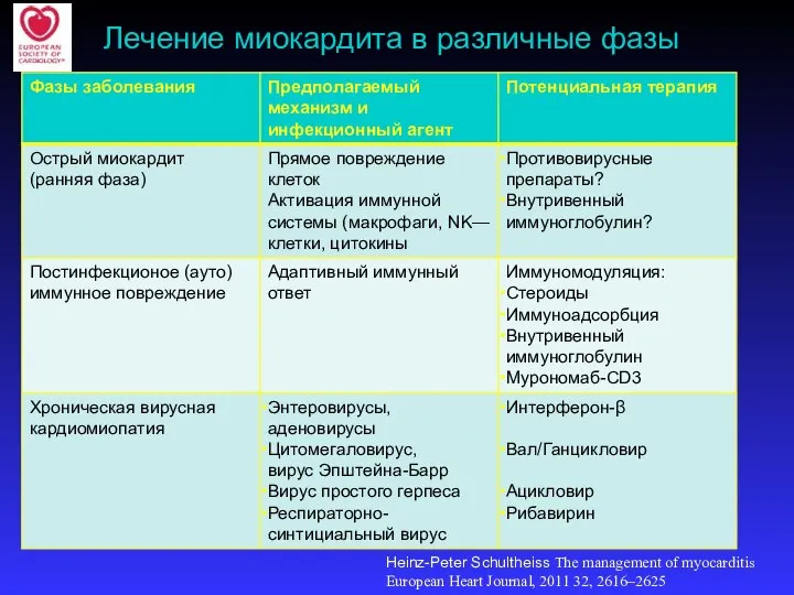 Лечение миокардита в различные фазы Heinz-Peter Schultheiss The management of myocarditis European