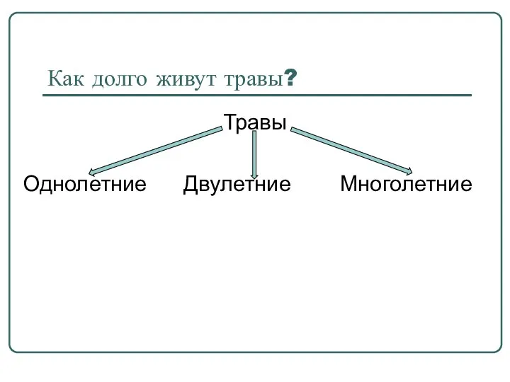 Как долго живут травы? Травы Однолетние Двулетние Многолетние