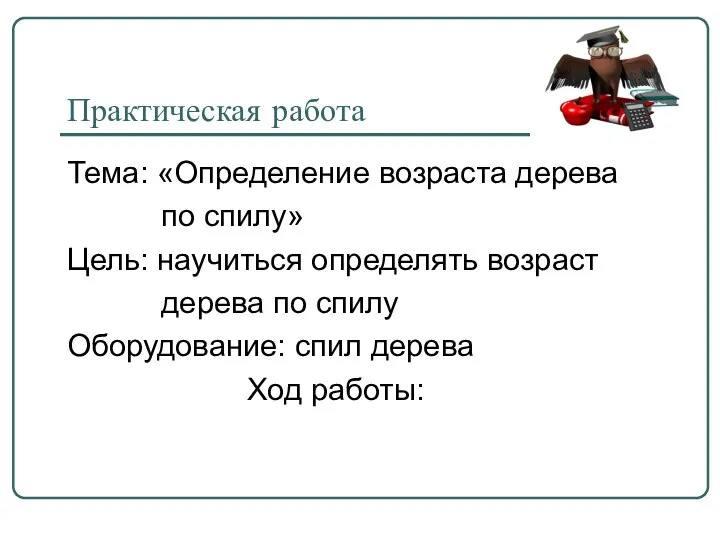 Практическая работа Тема: «Определение возраста дерева по спилу» Цель: научиться определять возраст