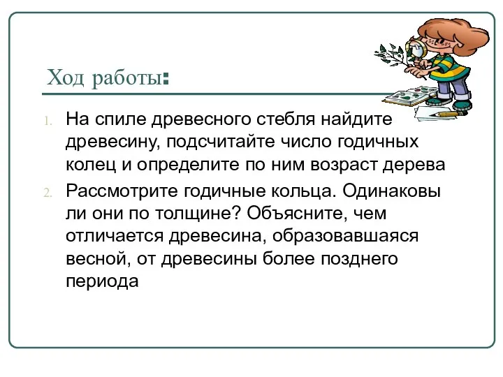 Ход работы: На спиле древесного стебля найдите древесину, подсчитайте число годичных колец