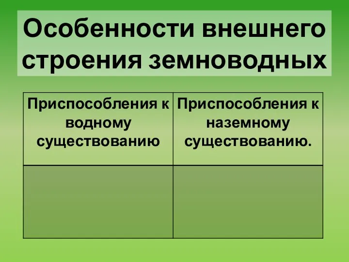 Особенности внешнего строения земноводных