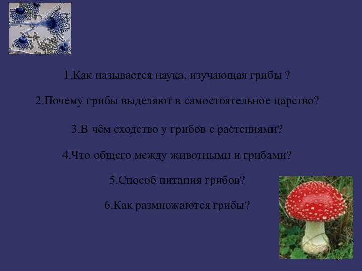 1.Как называется наука, изучающая грибы ? 2.Почему грибы выделяют в самостоятельное царство?