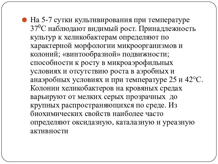 На 5-7 сутки культивирования при температуре 370С наблюдают видимый рост. Принадлежность культур