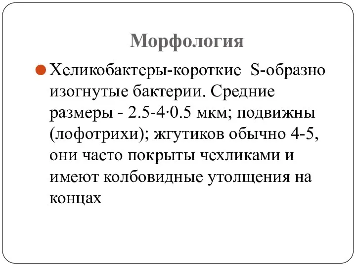 Морфология Хеликобактеры-короткие S-образно изогнутые бактерии. Средние размеры - 2.5-4∙0.5 мкм; подвижны (лофотрихи);