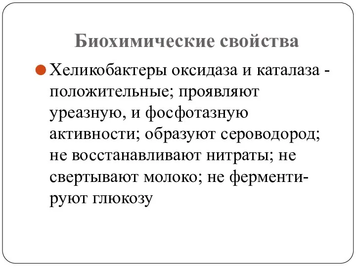 Биохимические свойства Хеликобактеры оксидаза и каталаза - положительные; проявляют уреазную, и фосфотазную